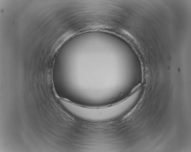 X0000067921361200605111958