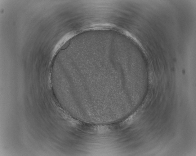 X0000067921362200605111958