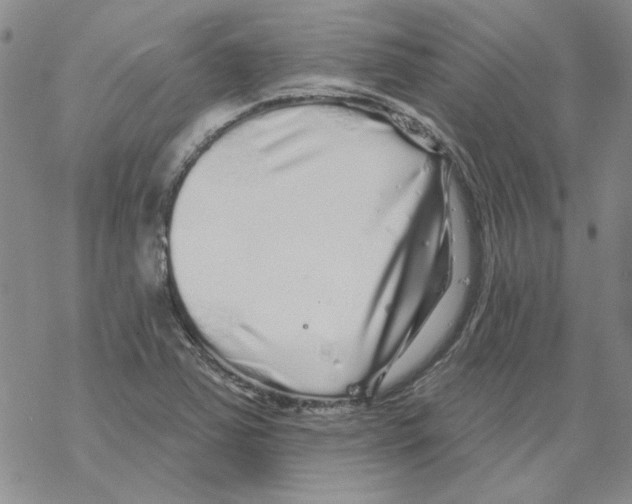 X0000067921363200605111957