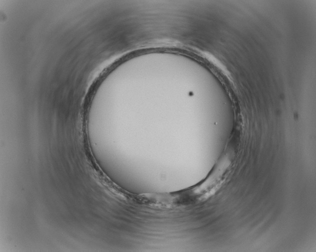 X0000067921364200605111957