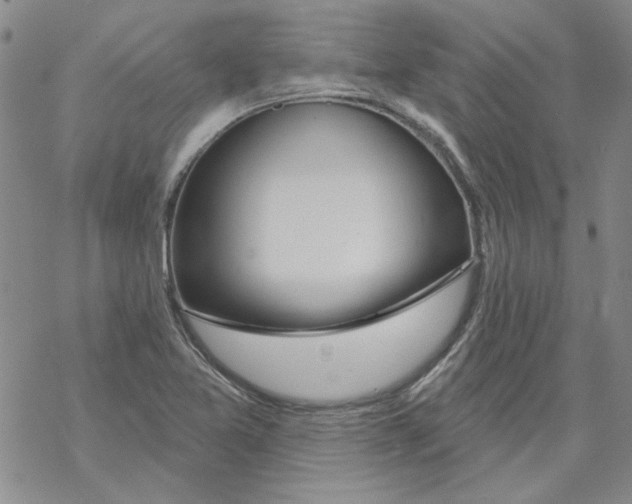 X0000067921365200605111957