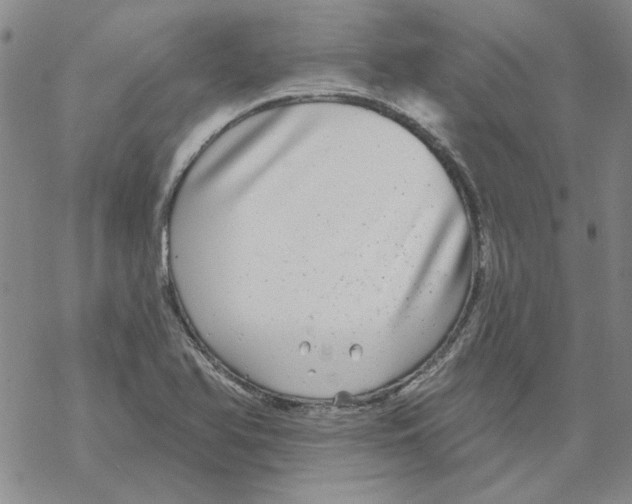 X0000067921366200605111957