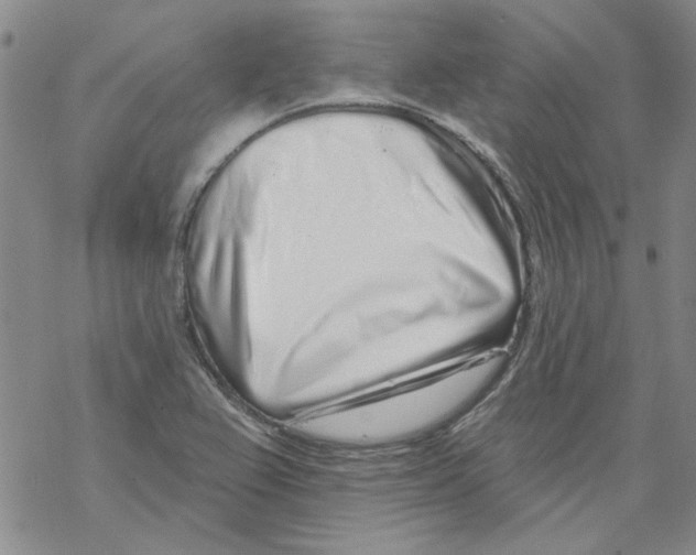 X0000067921367200605111957