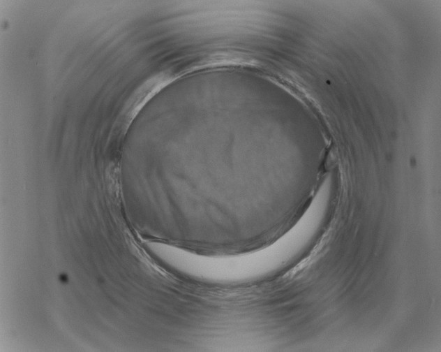 X0000067921369200605111957