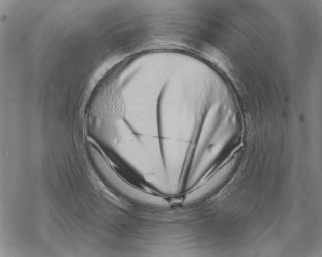 X0000067921371200605111957