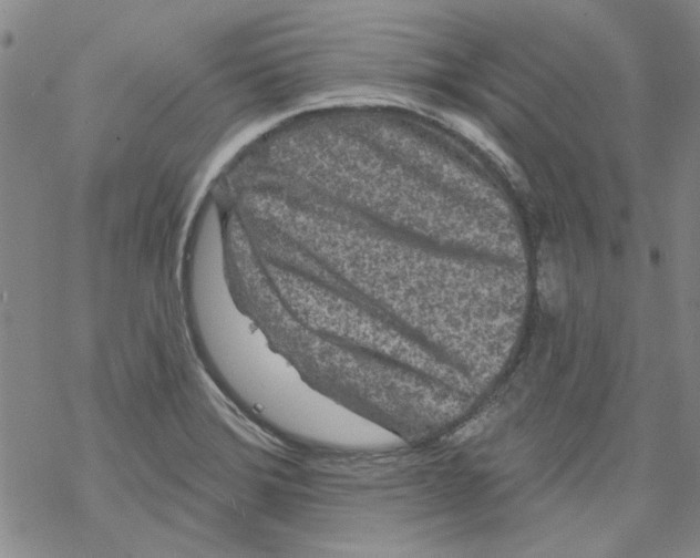 X0000067921372200605111957