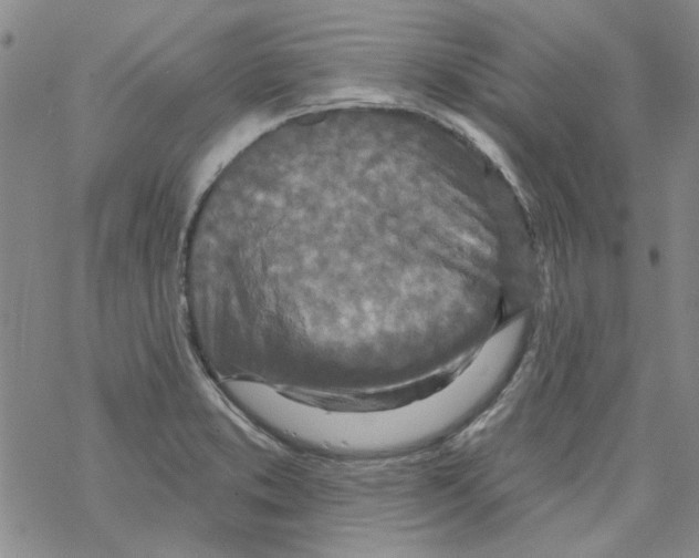 X0000067921373200605111957