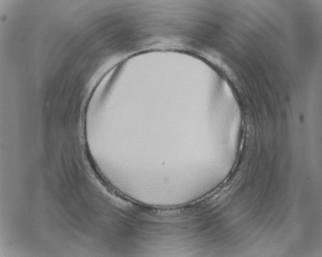 X0000067921375200605111957