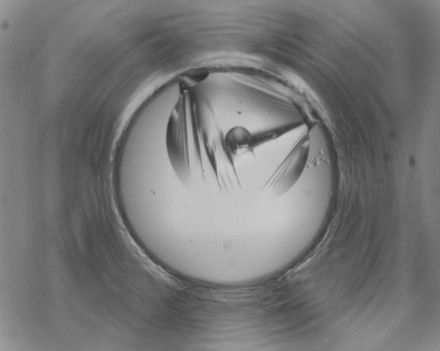 X0000067921376200605111957