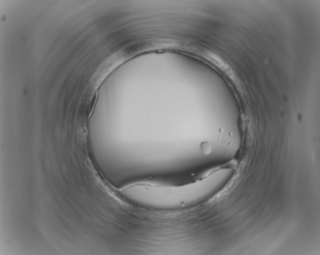 X0000067921377200605111957