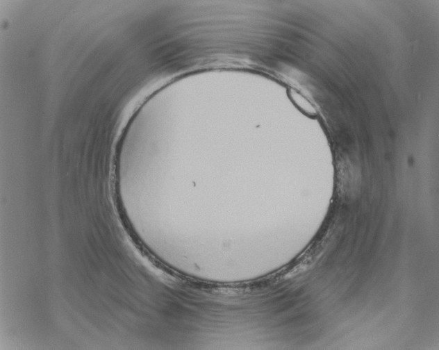 X0000067921379200605111957