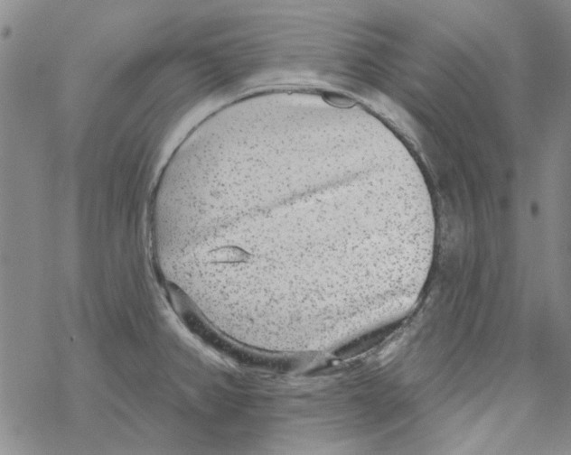 X0000067921382200605111957