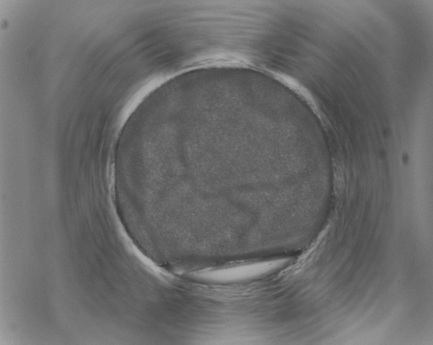 X0000067921383200605111957