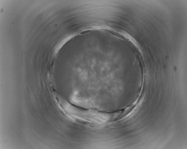 X0000067921385200605111957