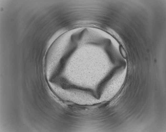 X0000067921386200605111957