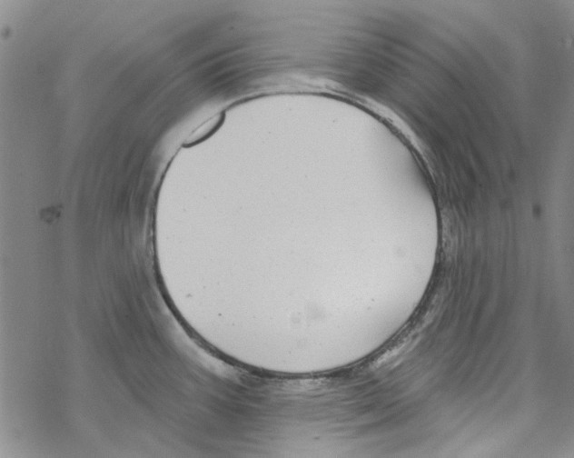 X0000067921387200605111957