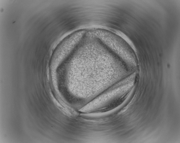 X0000067921388200605111957