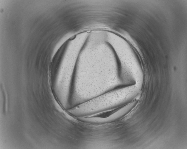 X0000067921390200605111957