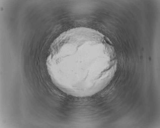 X0000067921393200605111956