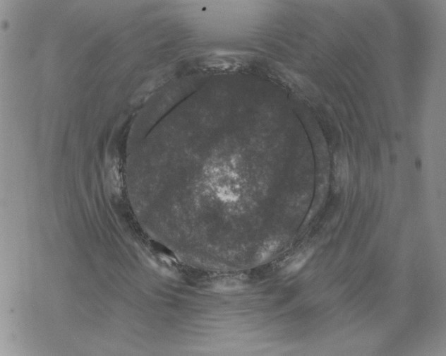 X0000067921394200605111956