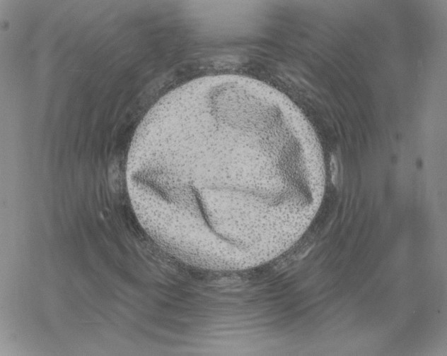 X0000067921395200605111956