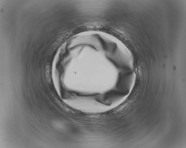 X0000067921396200605111956