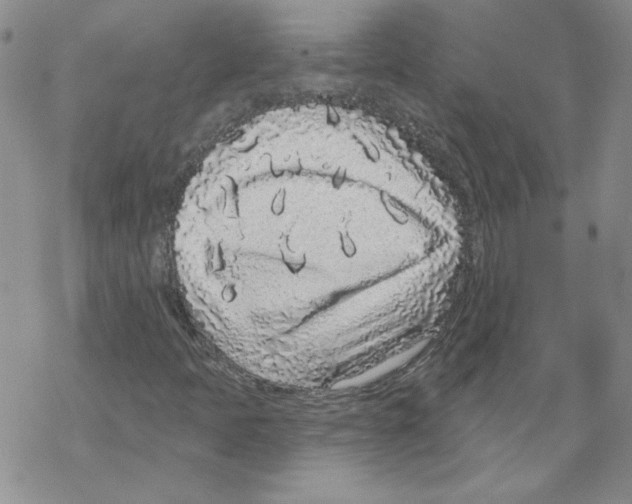 X0000067921397200605111956