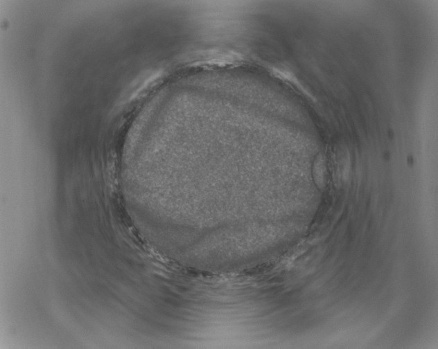 X0000067921399200605111956