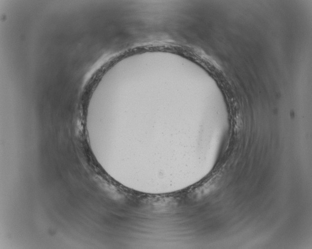 X0000067921400200605111956