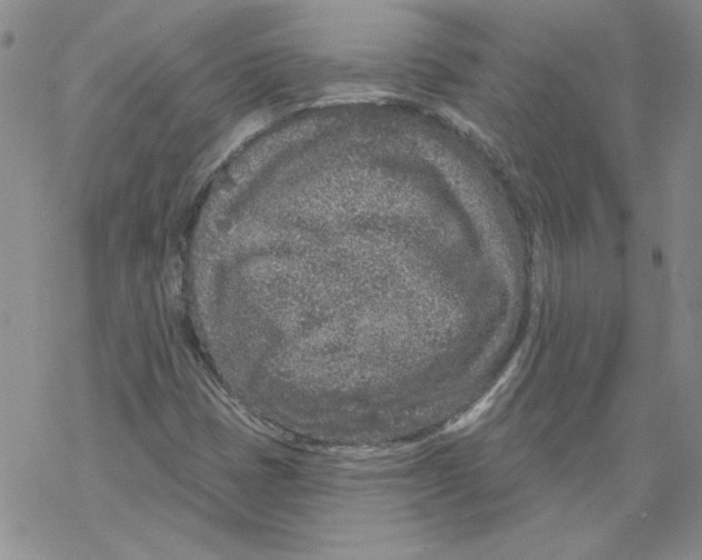 X0000067921401200605111956