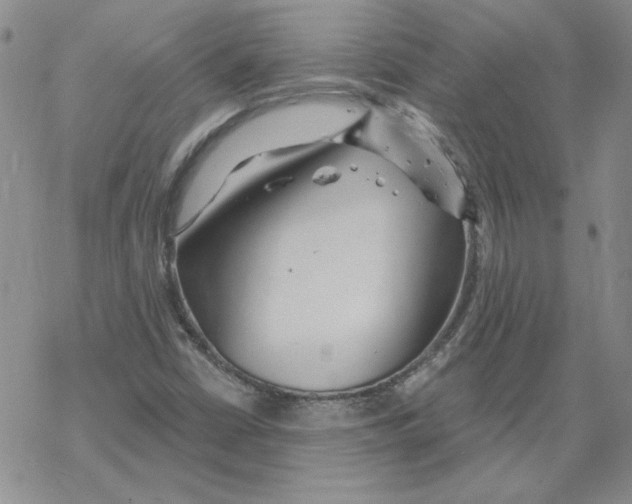 X0000067921402200605111956