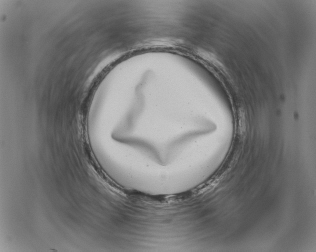 X0000067921404200605111956