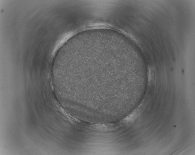 X0000067921405200605111956