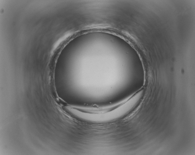 X0000067921406200605111956