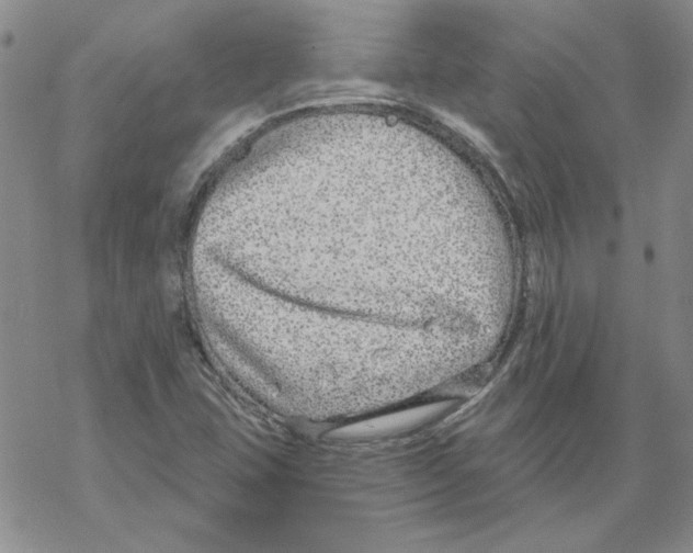 X0000067921407200605111956