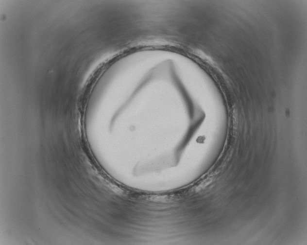 X0000067921408200605111956