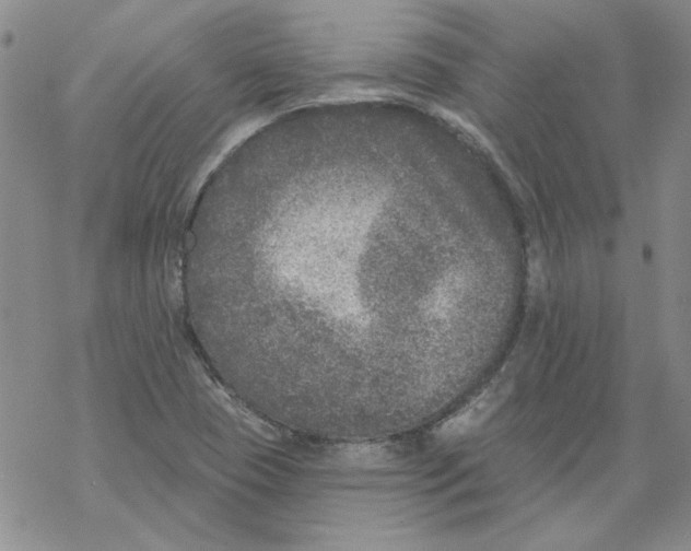 X0000067921409200605111957