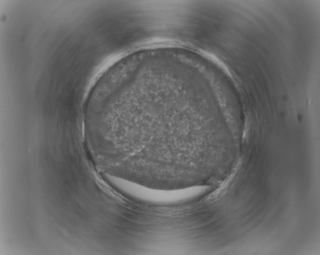 X0000067921413200605111957