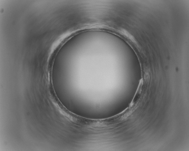 X0000067921414200605111957