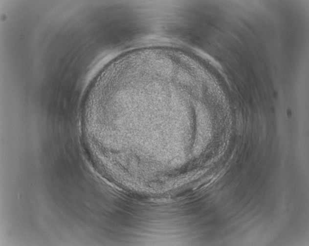 X0000067921415200605111957