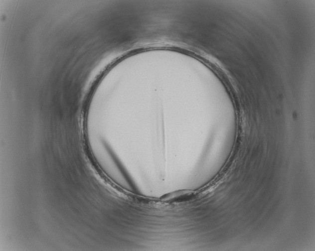 X0000067921416200605111957