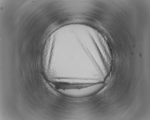 X0000067921417200605111957