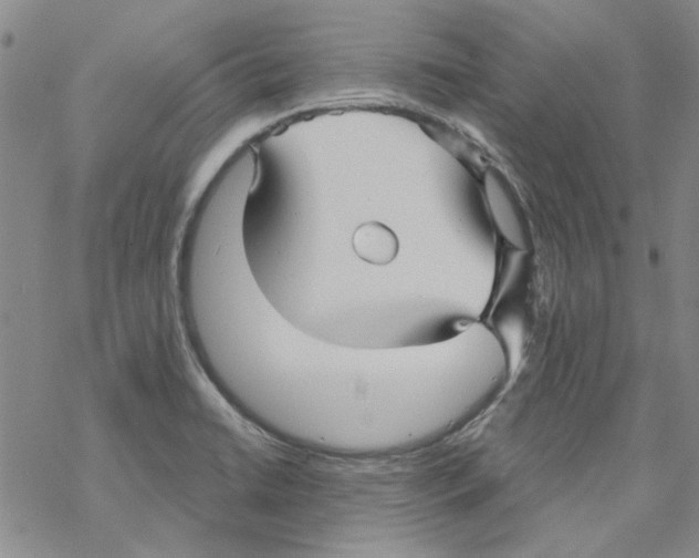 X0000067921422200605111957