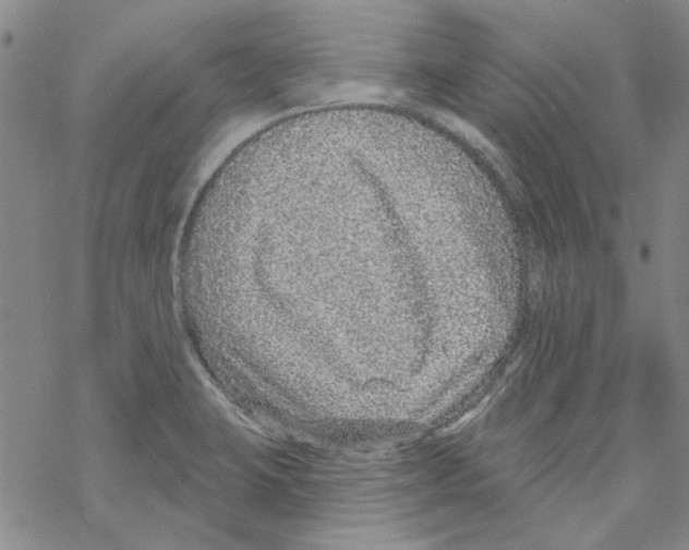 X0000067921423200605111957