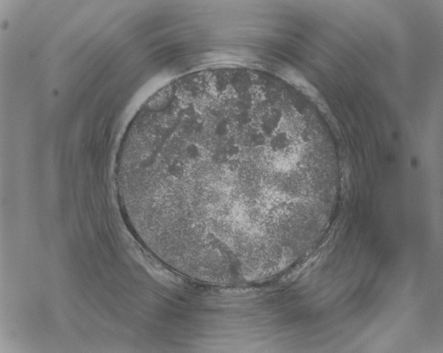 X0000067921427200605111957