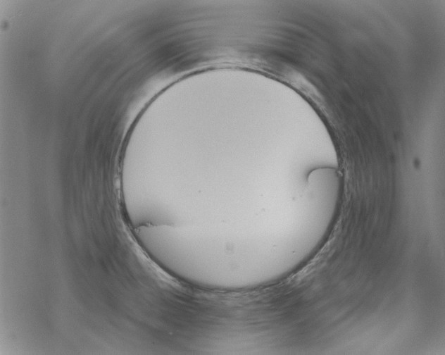 X0000067921428200605111957