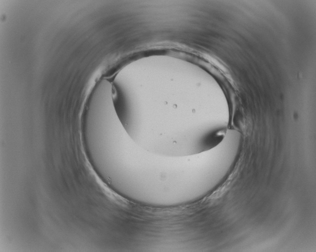 X0000067921430200605111957