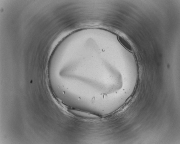 X0000067921432200605111957