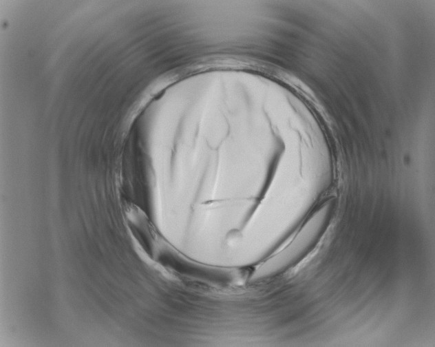 X0000067921433200605111957