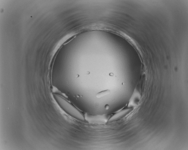 X0000067921434200605111957